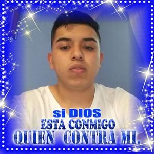 Meet your Posher, Leonardo